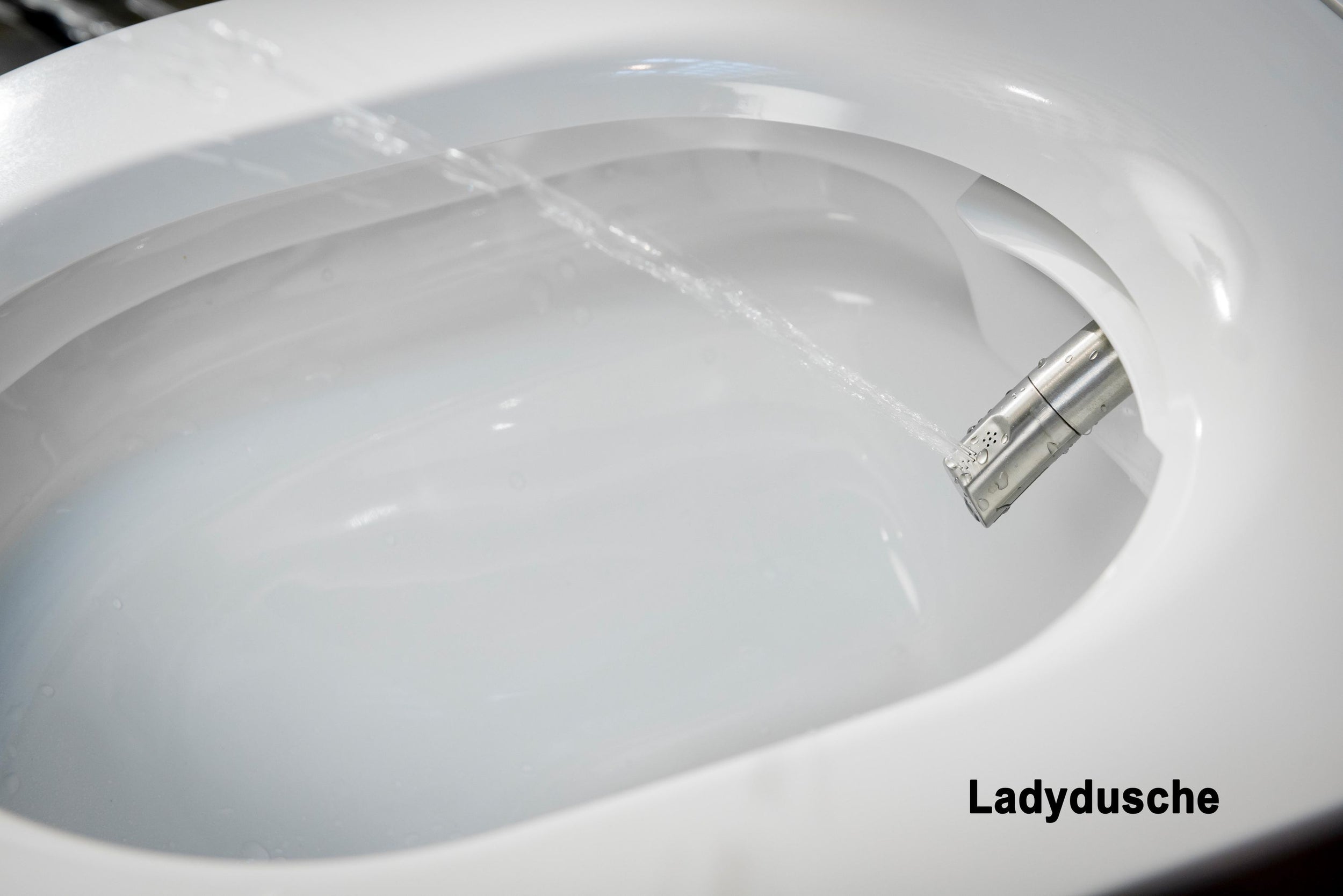 Pacchetto WC completo 37: DUSCH-WC PRO+ 1102