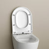 Sedile WC Soft-Close U1002