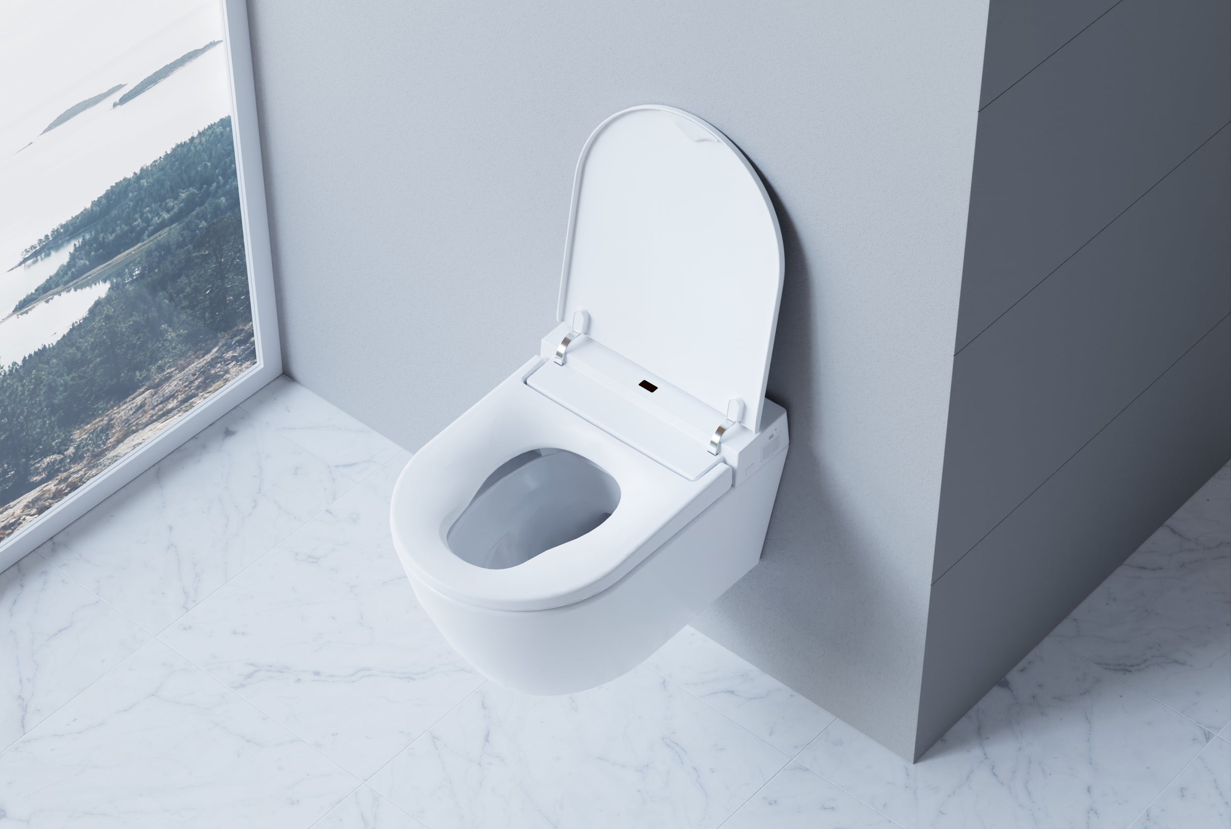 WC con Bidet Integrato Bernstein 540 PRO