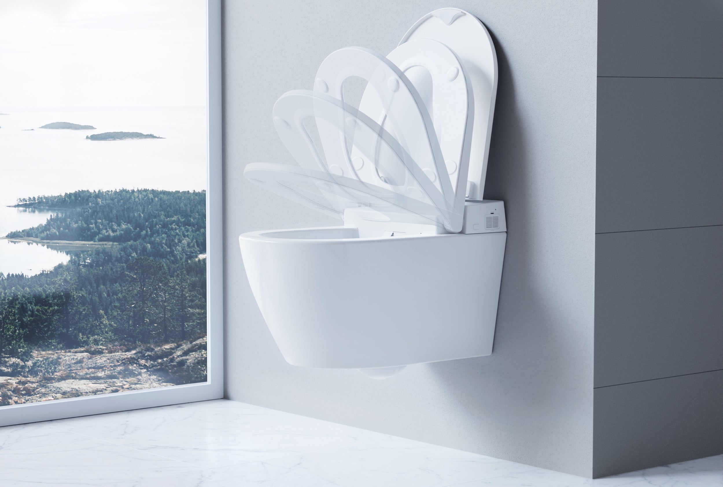 WC con Bidet Integrato Bernstein 540 PRO