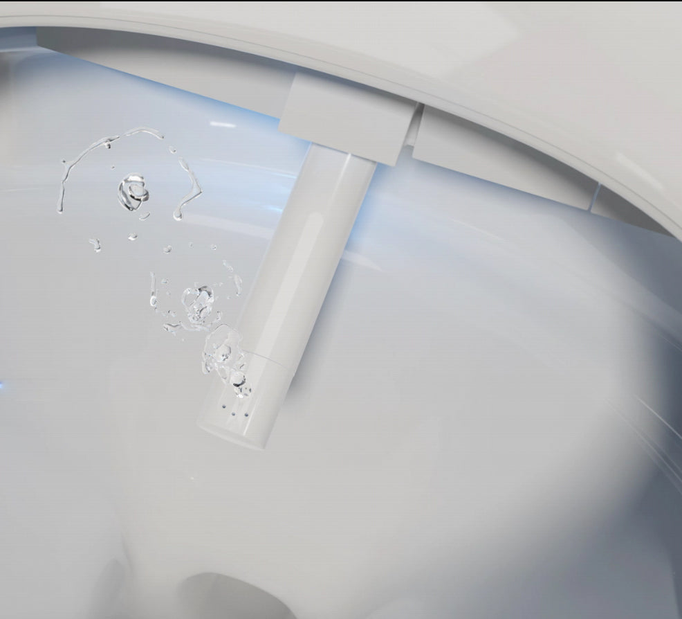 Set completo WC doccia 540 PRO con elemento da parete Geberit Duofix