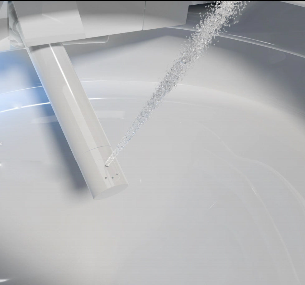 Set completo WC doccia 540 PRO con elemento da parete Geberit Duofix