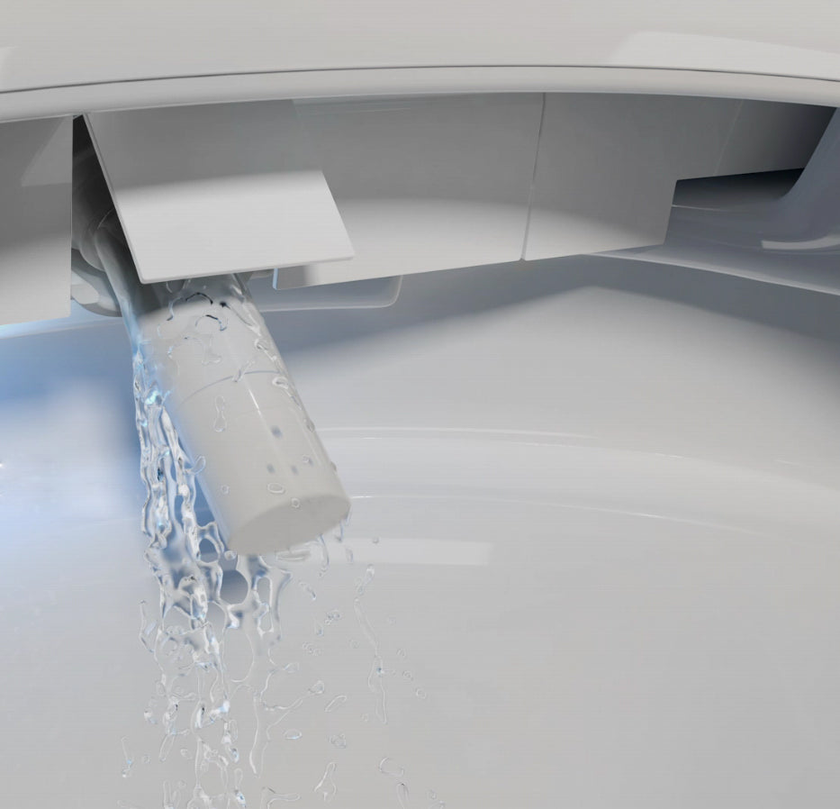 Set completo WC doccia 540 PRO con elemento da parete Geberit Duofix