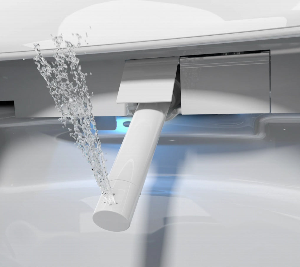 Set completo WC doccia 540 PRO con elemento da parete Geberit Duofix