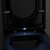 Sedile WC soft-close U1002